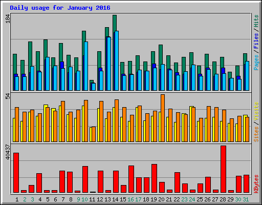 Daily usage for January 2016