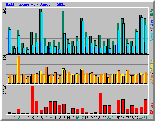 Daily usage for January 2021