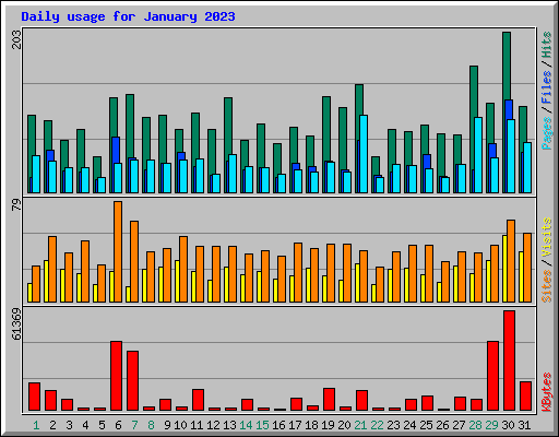 Daily usage for January 2023