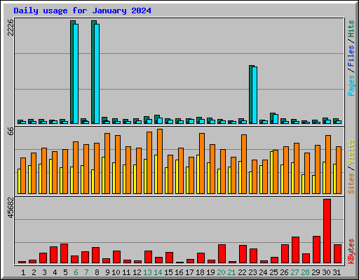 Daily usage for January 2024