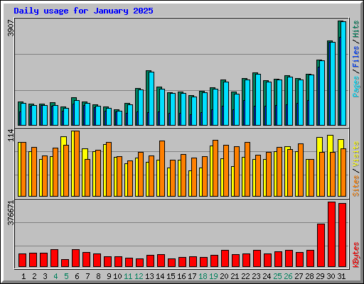 Daily usage for January 2025