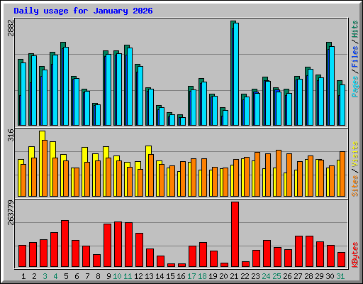 Daily usage for January 2026