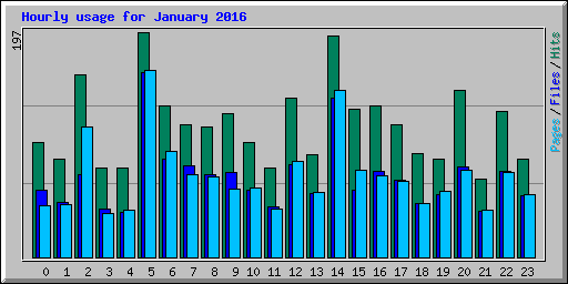 Hourly usage for January 2016