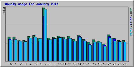 Hourly usage for January 2017