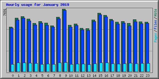 Hourly usage for January 2019