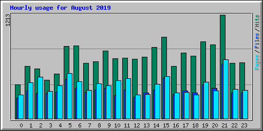 Hourly usage for August 2019