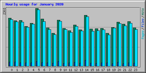 Hourly usage for January 2020
