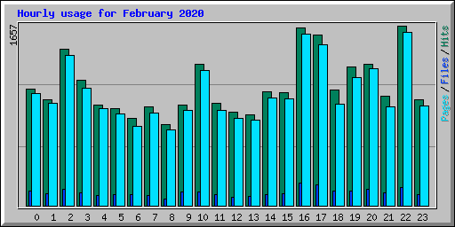 Hourly usage for February 2020