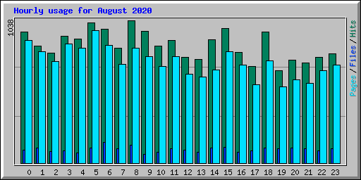 Hourly usage for August 2020