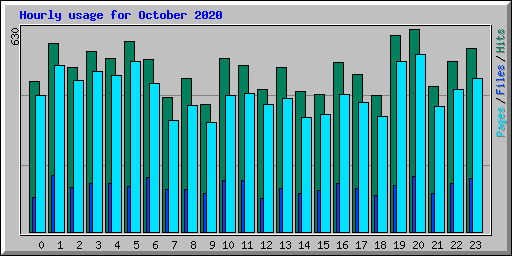 Hourly usage for October 2020