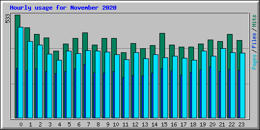 Hourly usage for November 2020