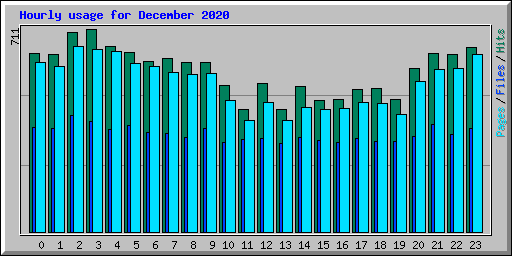 Hourly usage for December 2020