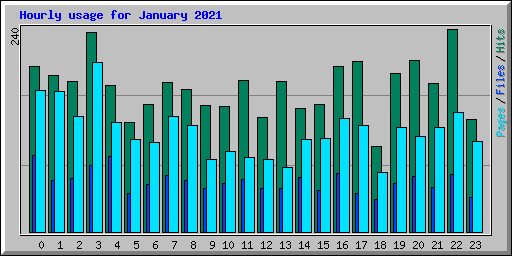 Hourly usage for January 2021