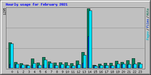 Hourly usage for February 2021