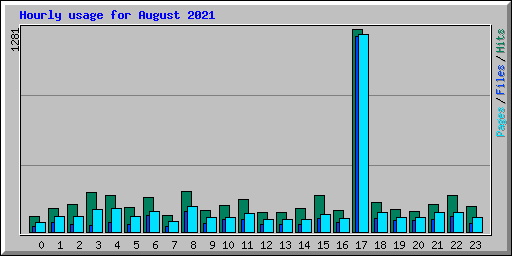 Hourly usage for August 2021