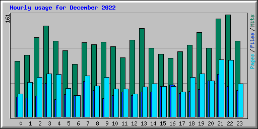 Hourly usage for December 2022