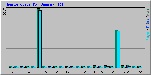 Hourly usage for January 2024
