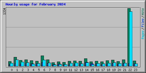 Hourly usage for February 2024