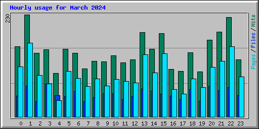 Hourly usage for March 2024