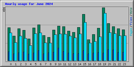 Hourly usage for June 2024