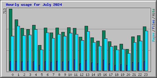Hourly usage for July 2024