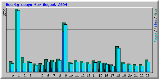 Hourly usage for August 2024