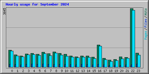 Hourly usage for September 2024