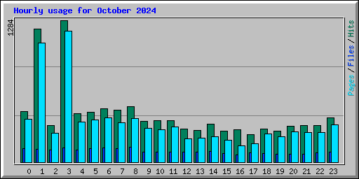 Hourly usage for October 2024