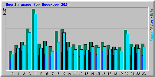 Hourly usage for November 2024