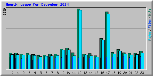 Hourly usage for December 2024