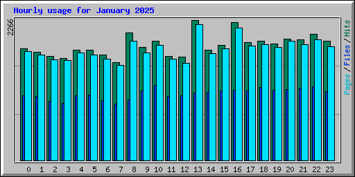 Hourly usage for January 2025