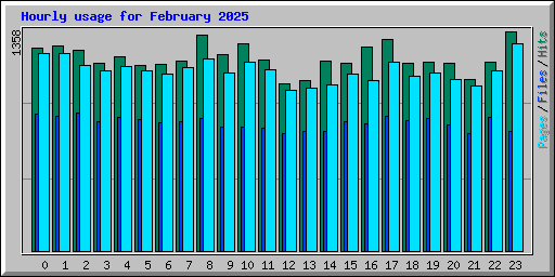 Hourly usage for February 2025