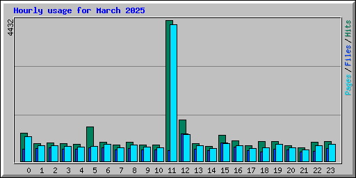 Hourly usage for March 2025