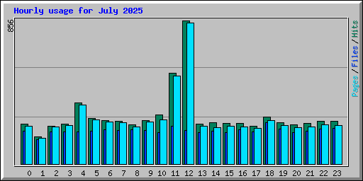 Hourly usage for July 2025
