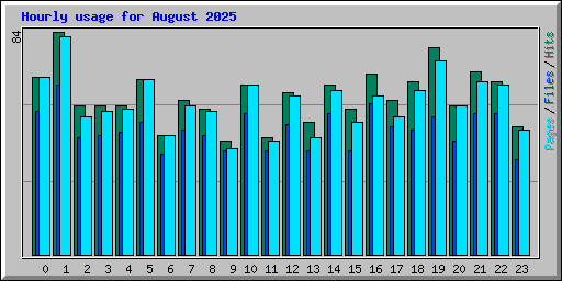 Hourly usage for August 2025