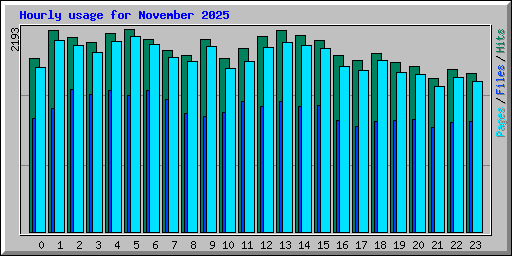 Hourly usage for November 2025