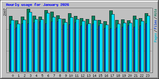 Hourly usage for January 2026