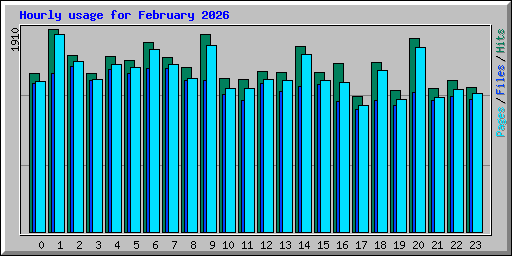 Hourly usage for February 2026