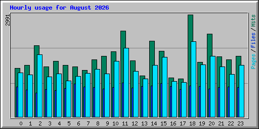 Hourly usage for August 2026